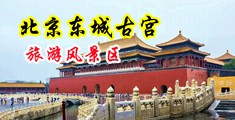 羞抠逼挤奶91动漫中国北京-东城古宫旅游风景区